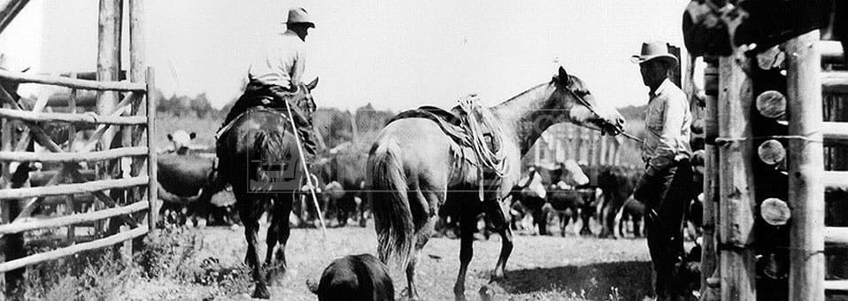 Slideshow-RanchWork