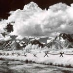 Summer in the Tetons. PhotoId : 2005.0052.108