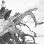 Verba Lawrence, trapper and snowmobiler extraordinaire, c. 1930s.