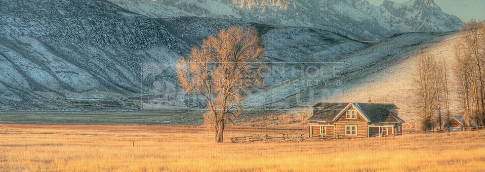 View or Exhibitions - National Elk Refuge